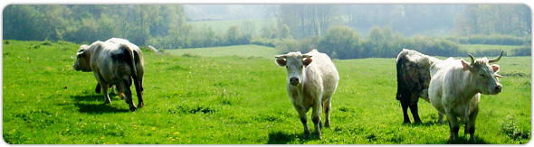 La ferme se situe au nord du massif du Morvan